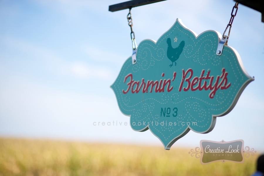 barn-wedding-farming-betty's-wi0001