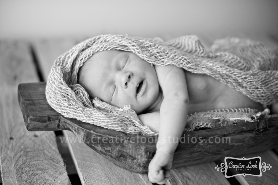 madison_newborn_photographer