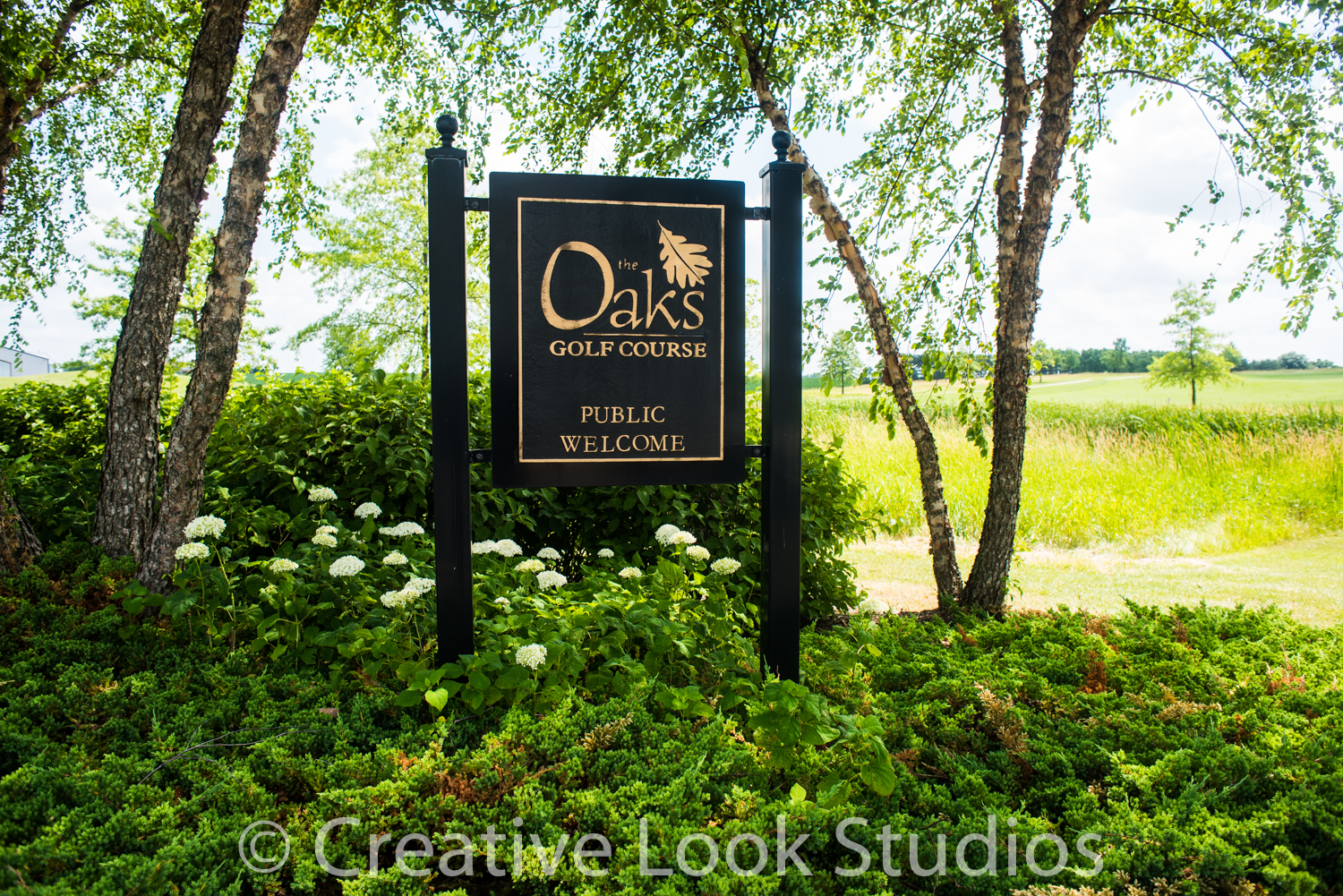 wedding photographer oaks golf course